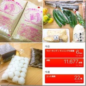 5キロのお米2袋、キュウリや山芋などの野菜、袋に入ったたくさんの玉こんにゃく、ウォーキング距離6キロと表示された写真の4枚の写真